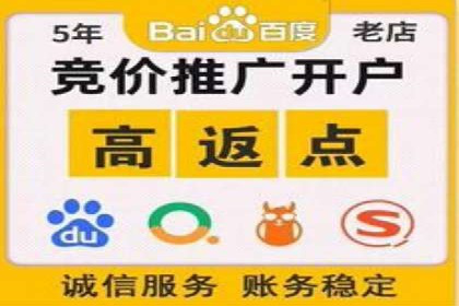sem账户托管案例：从零到一的营销增长之路